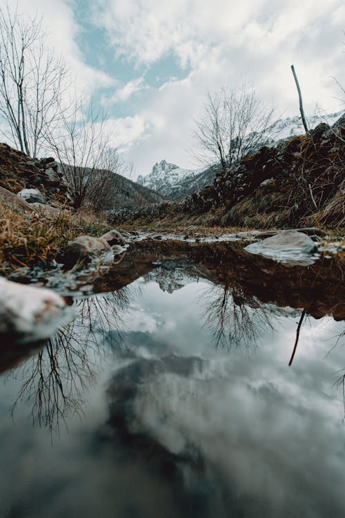 бесплатная Водоем возле деревьев и горы под пасмурным небом Стоковое фото