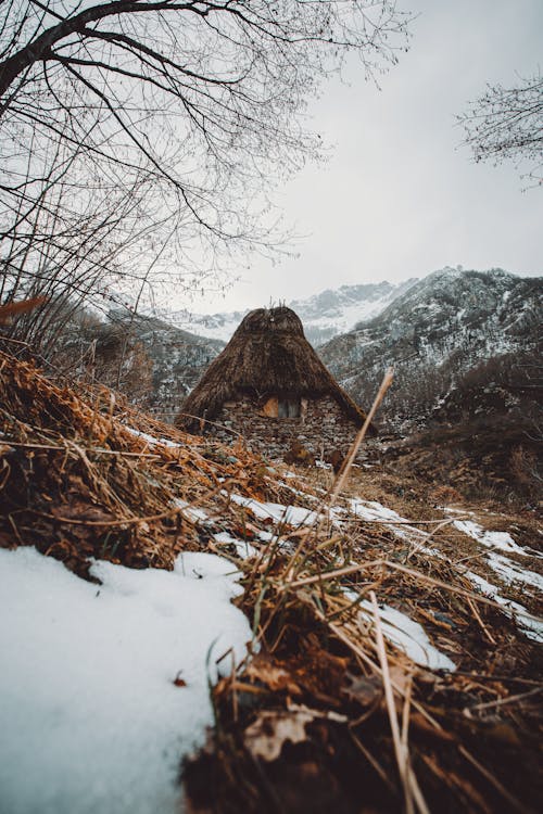 Základová fotografie zdarma na téma bungalov, cestování, chata