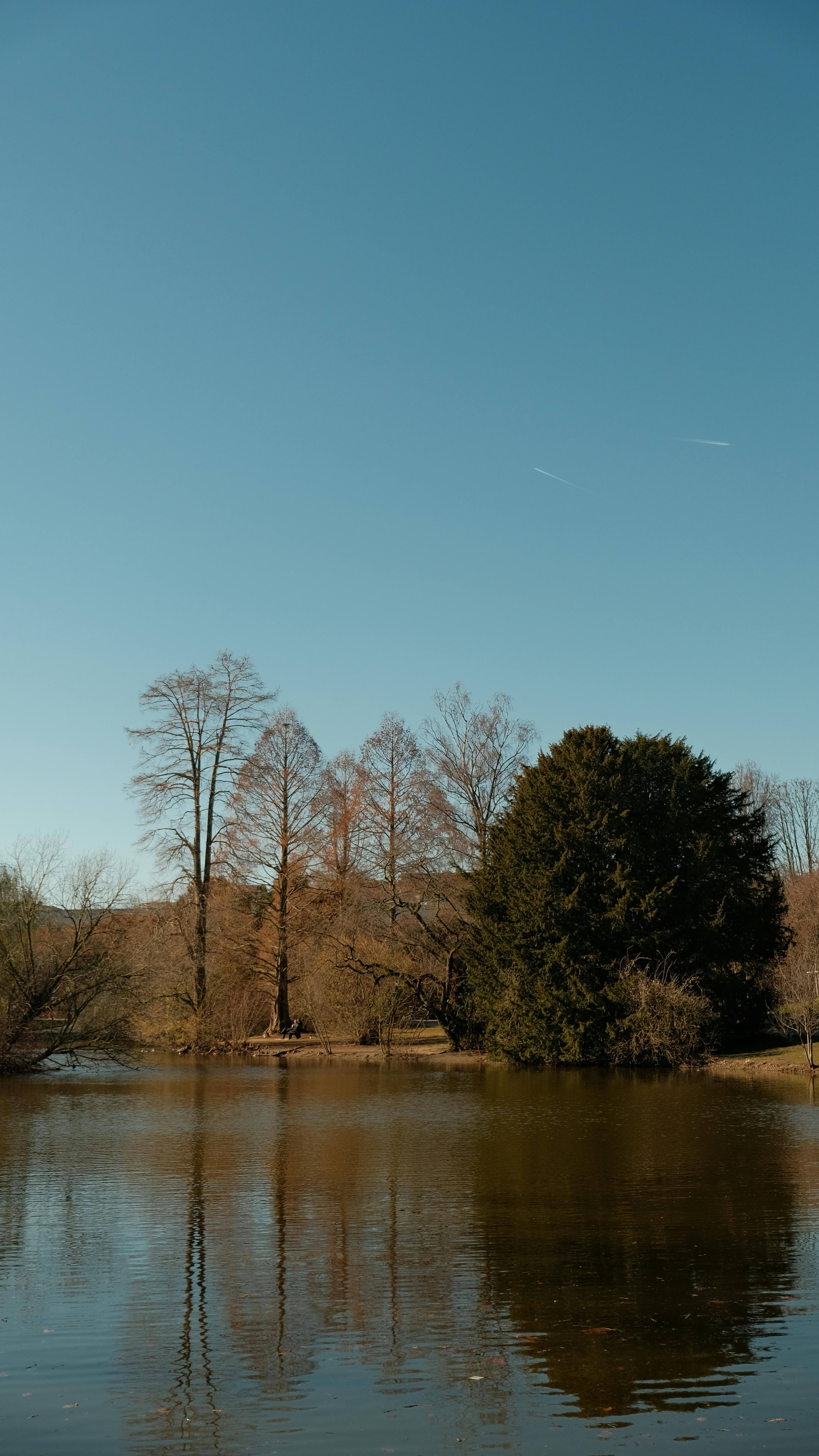 Free A picturesque view of a tranquil lake surrounded by trees in Düsseldorf, Germany. Stock Photo