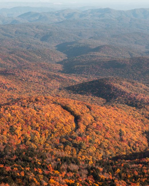 Stunning aerial landscape of vibrant autumn foliage covering undulating mountain terrain.