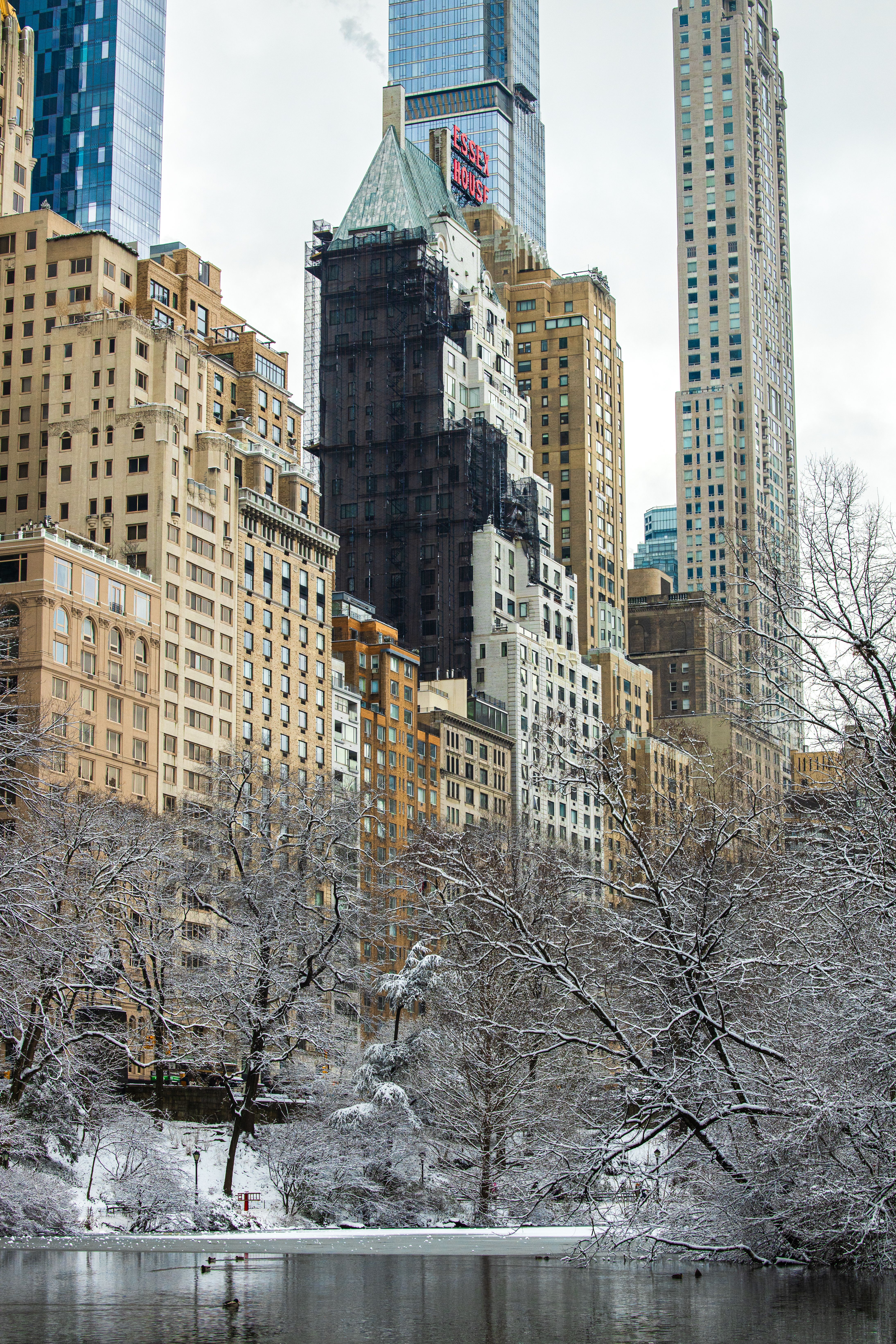 Winter Wonderland in New York City's Central Park · Free Stock Photo