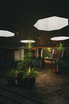 Modern atrium with potted plants and skylights creating a serene indoor garden environment.
