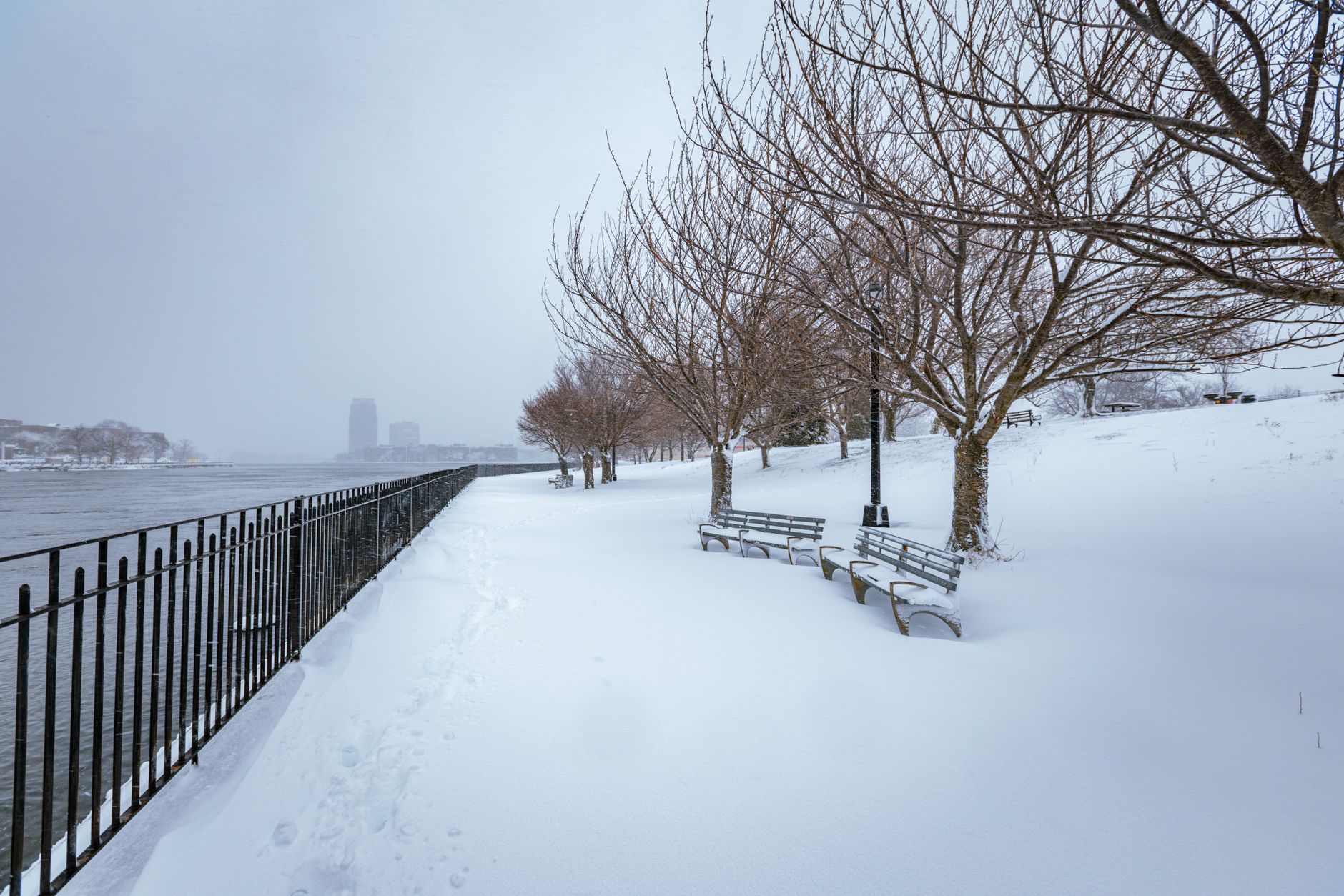 Serene winter day in New York City park with snow-covered benches and trees.