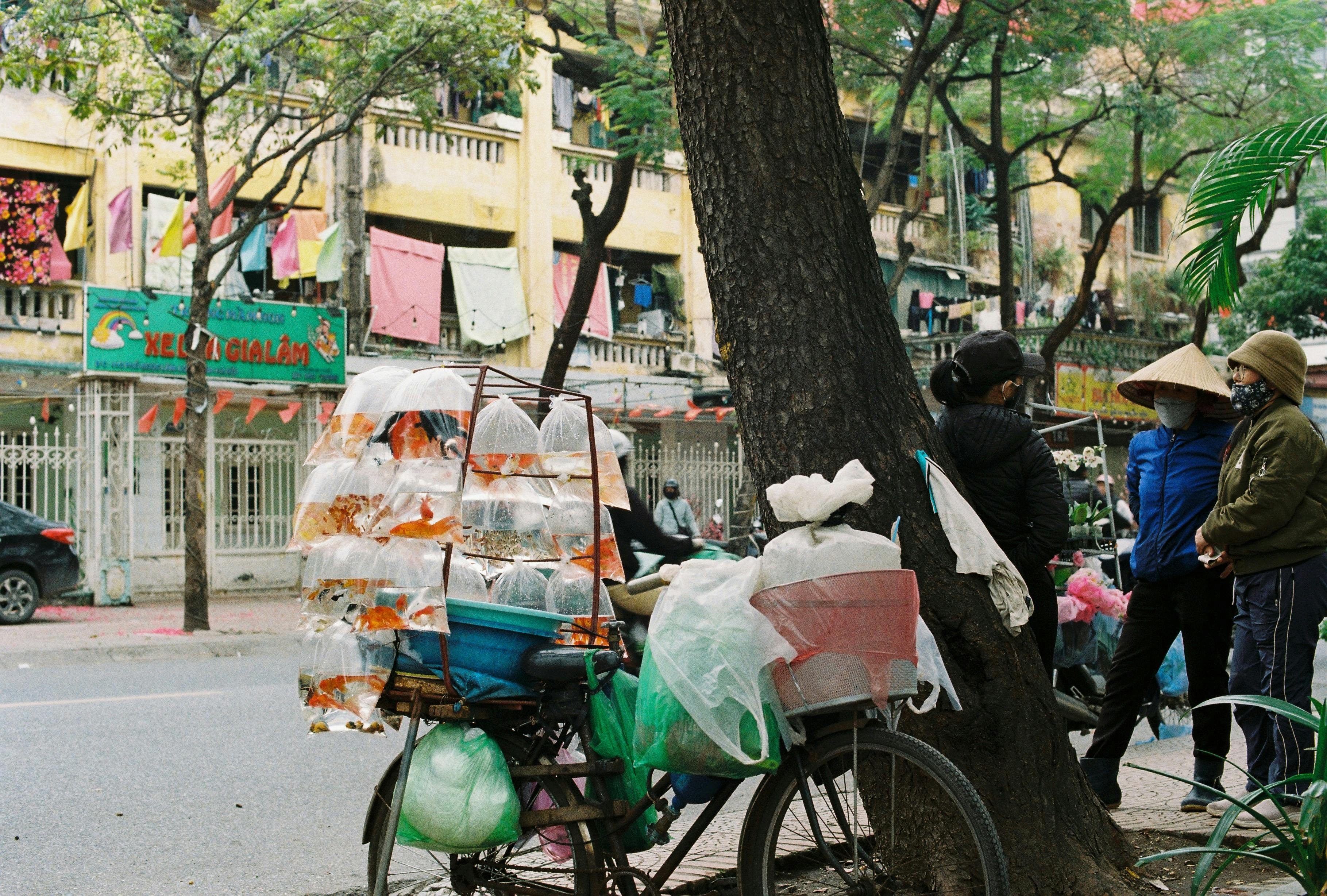 無料 peixe de estymasi, アジア, アジアのストリートライフの無料の写真素材 写真素材