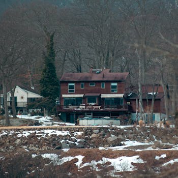 Free stock photo of backyard, bare trees, cabin