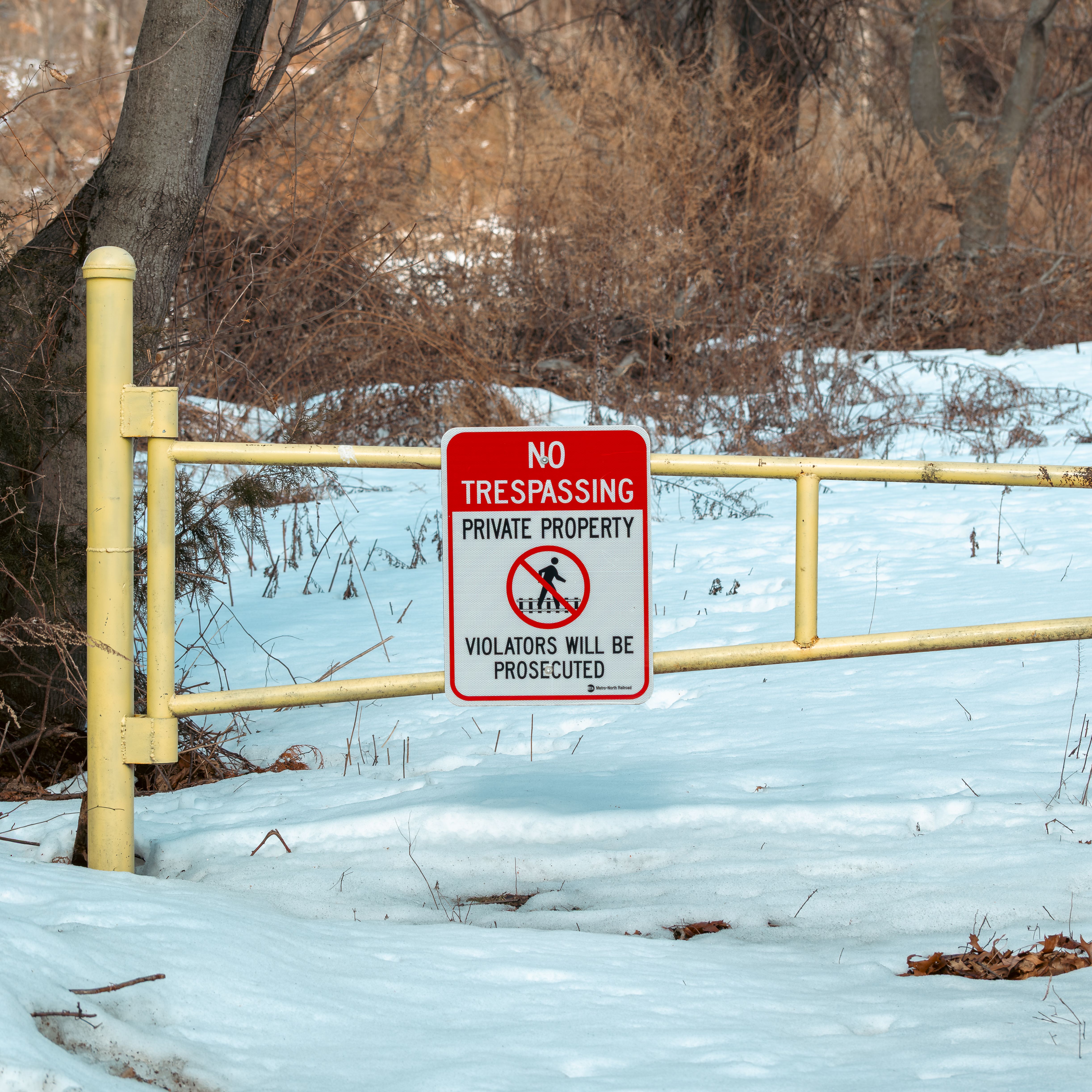 A 'No Trespassing' sign on a yellow gate in a snowy forest, indicating private property during winter.
