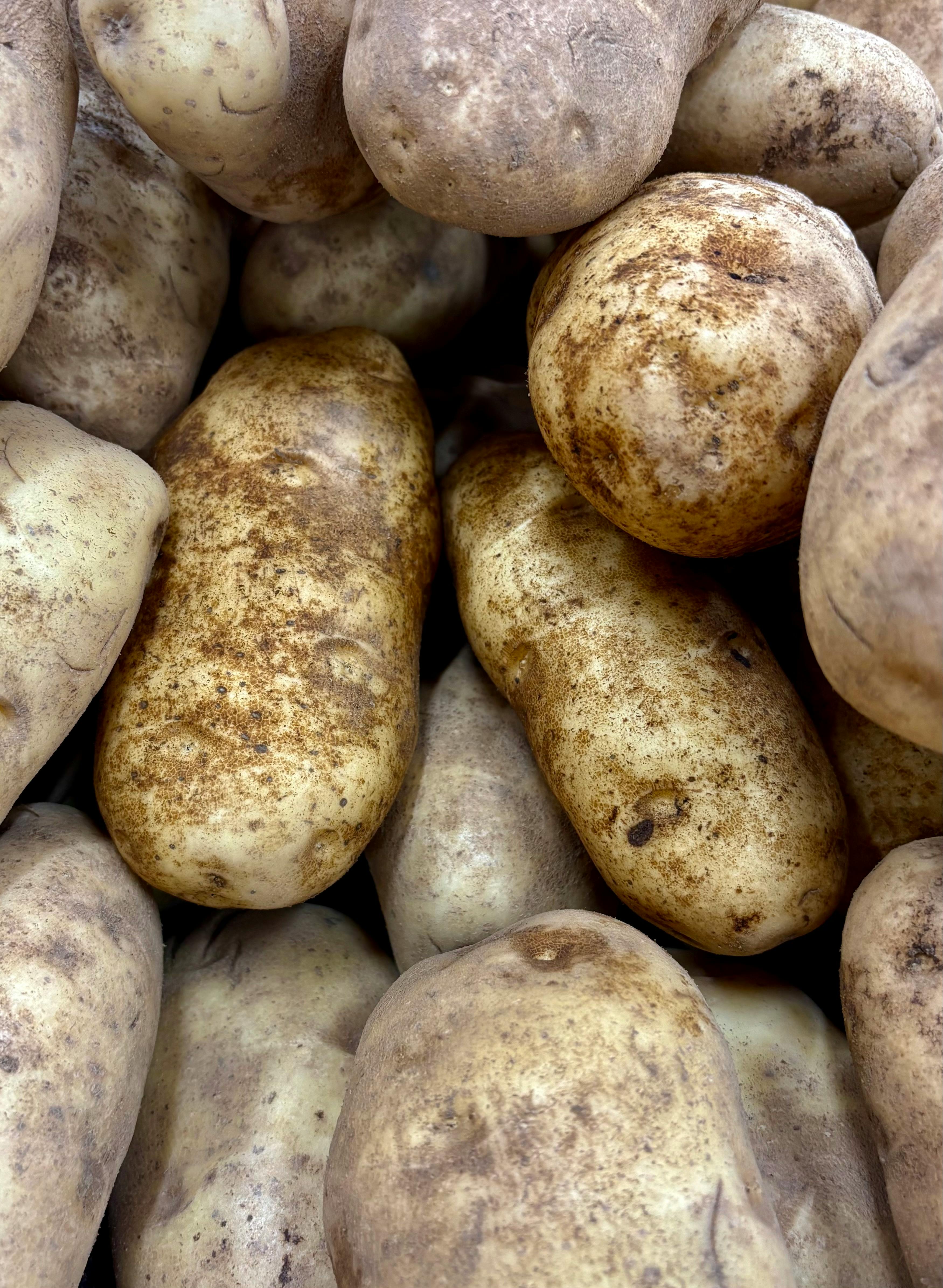 Gratis Gambar close-up detail kentang russet yang menampilkan tekstur dan warna alaminya, sempurna untuk penggunaan kuliner. Foto Stok