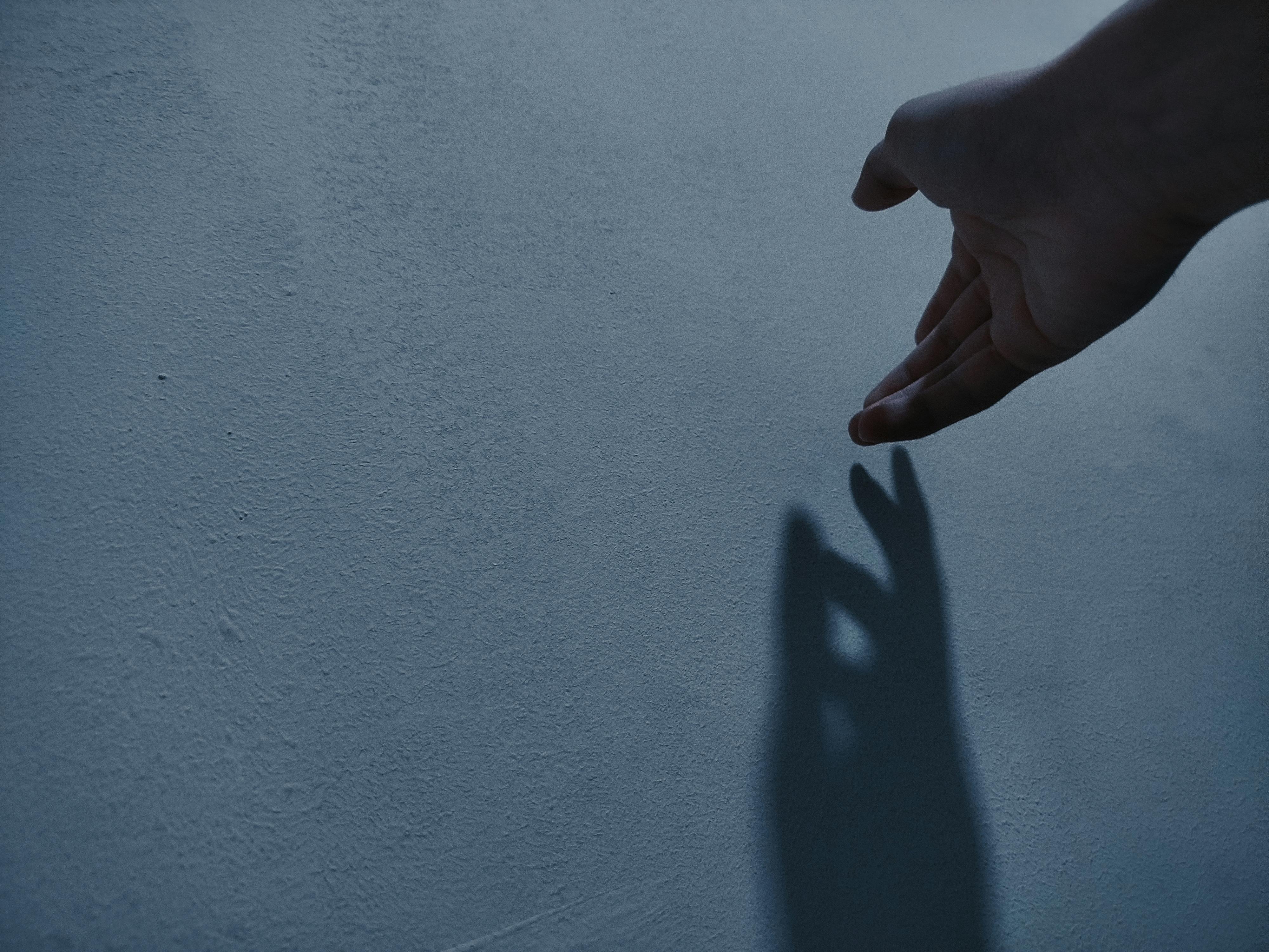 bezplatná Umělecké zachycení ruky vrhající stín na zeď pod měkkým osvětlením. Základová fotografie