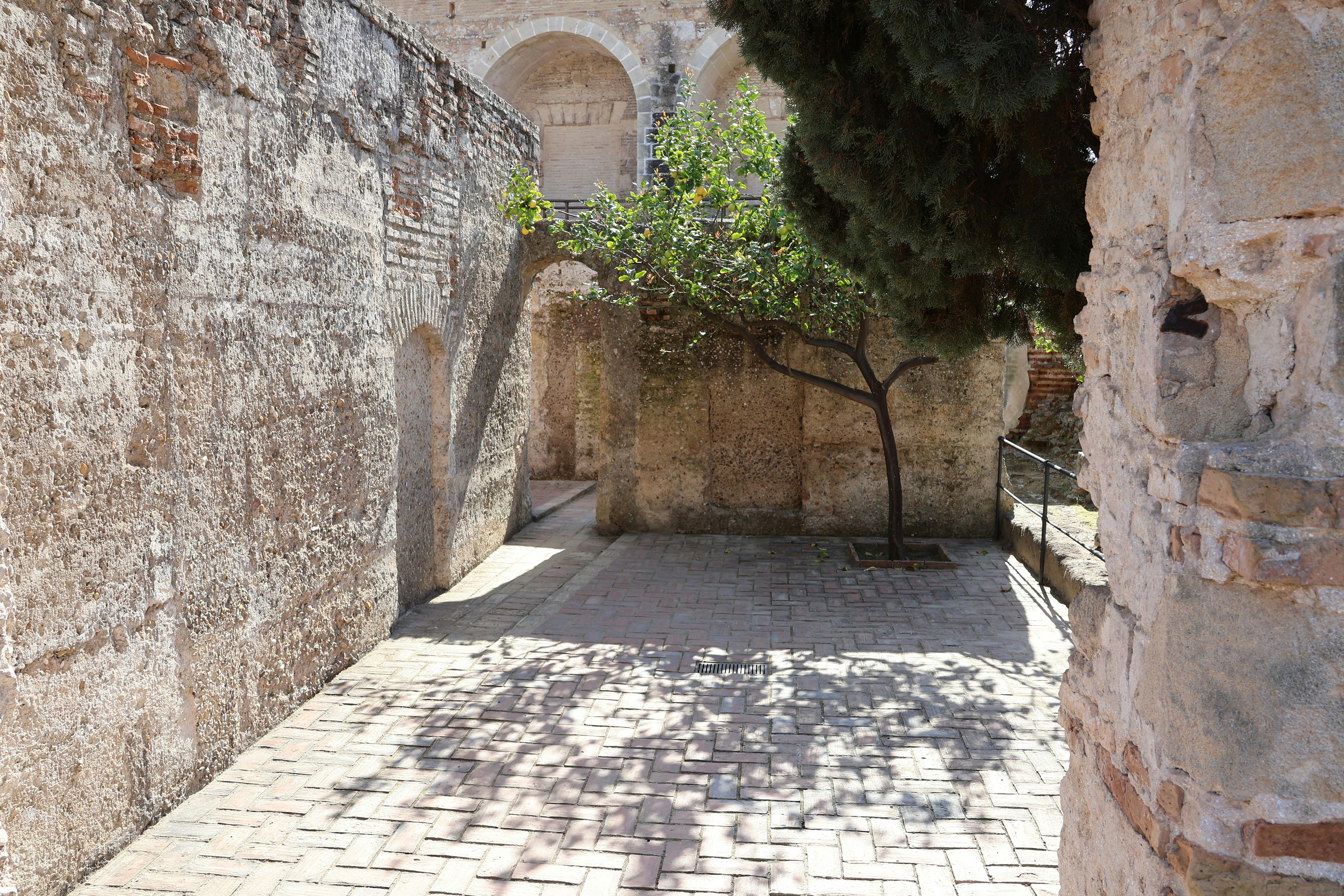 entrada a los baños árabes del Alcázar