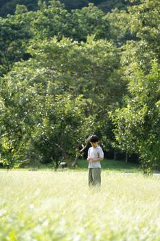 A child stands in a sunlit grassy field surrounded by lush trees, capturing a serene outdoor moment.