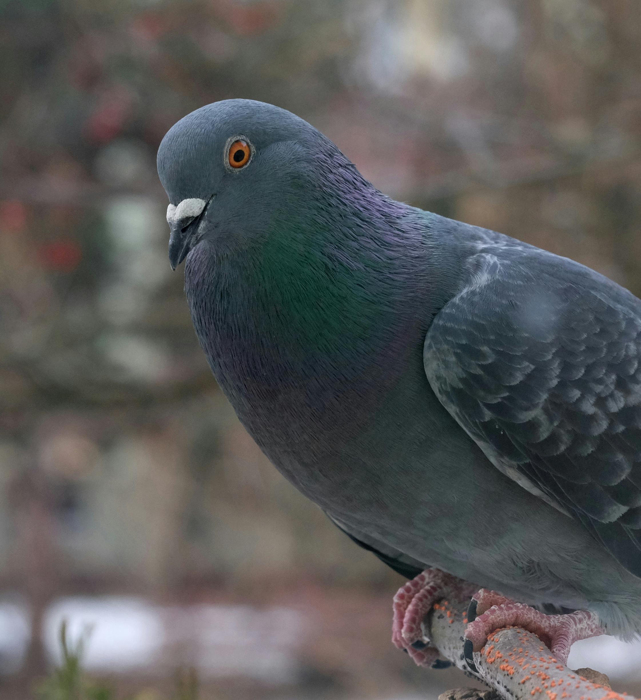 Hegseth: USA majú dosť munície na operáciu proti Iránu „tak dlho, ako bude treba“