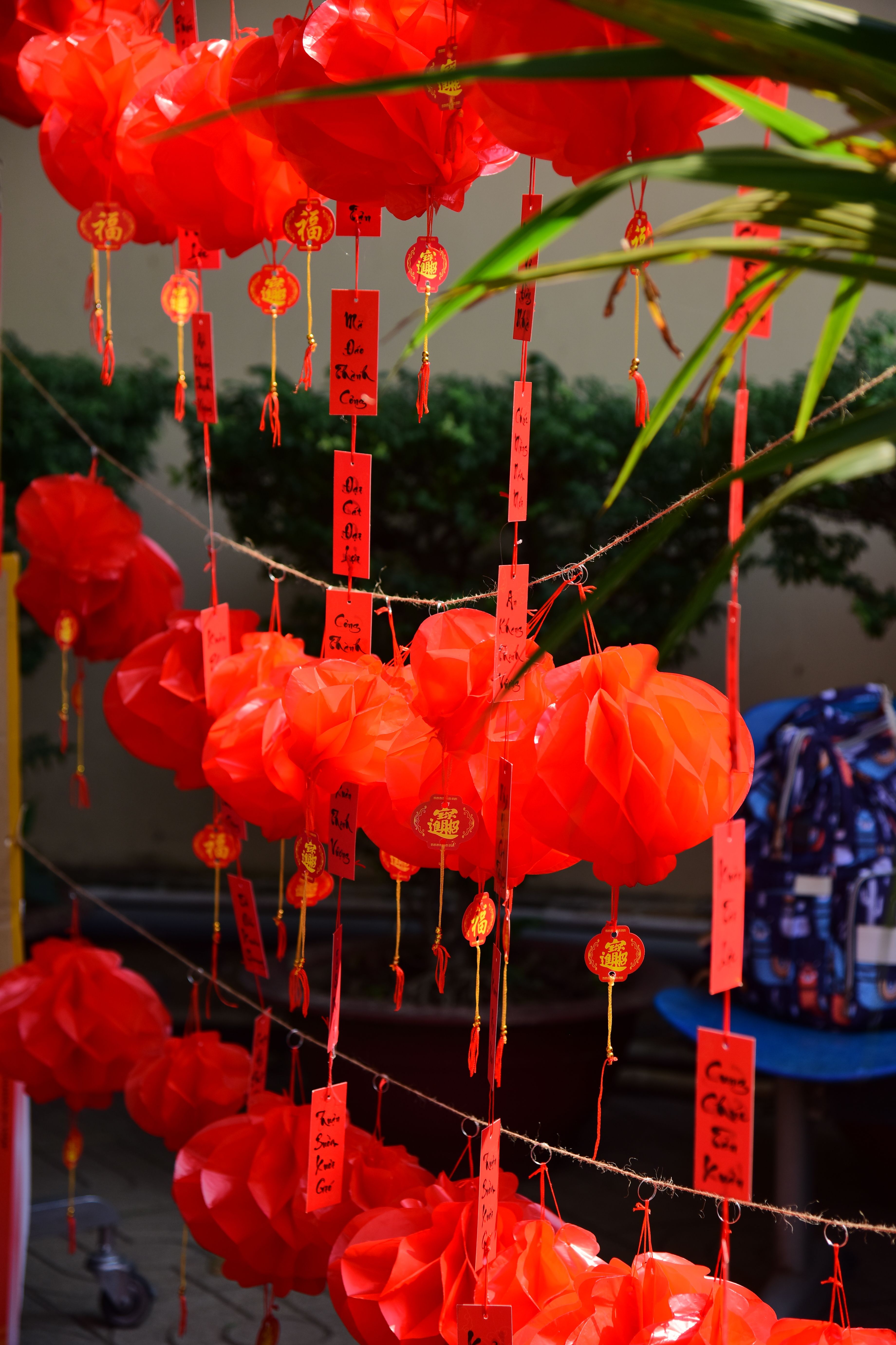Vibrant Red Chinese Lanterns with Hanging Messages · Free Stock Photo