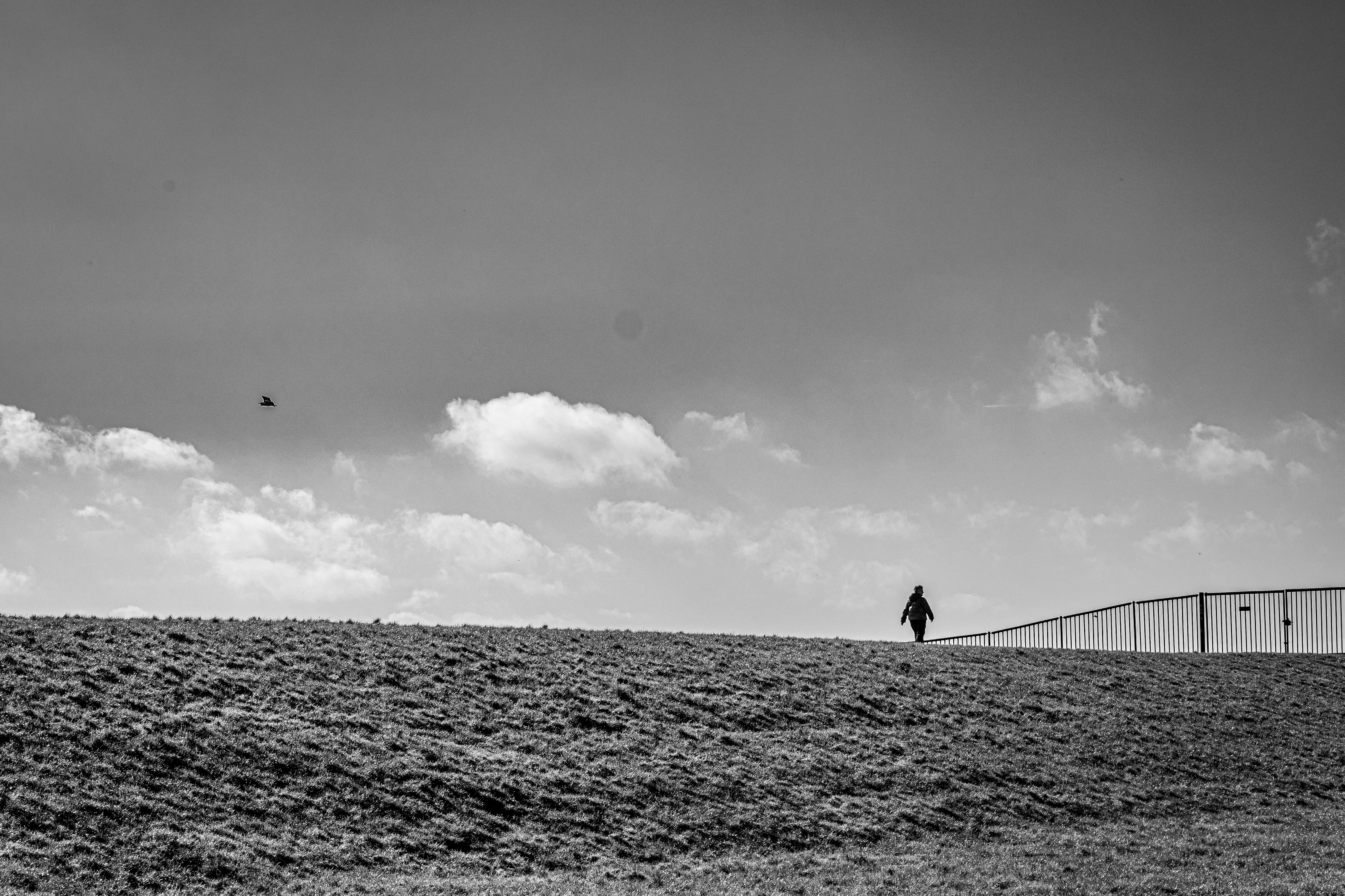 Gratis Foto in bianco e nero di una persona solitaria su una collina con un cielo aperto. Foto a disposizione