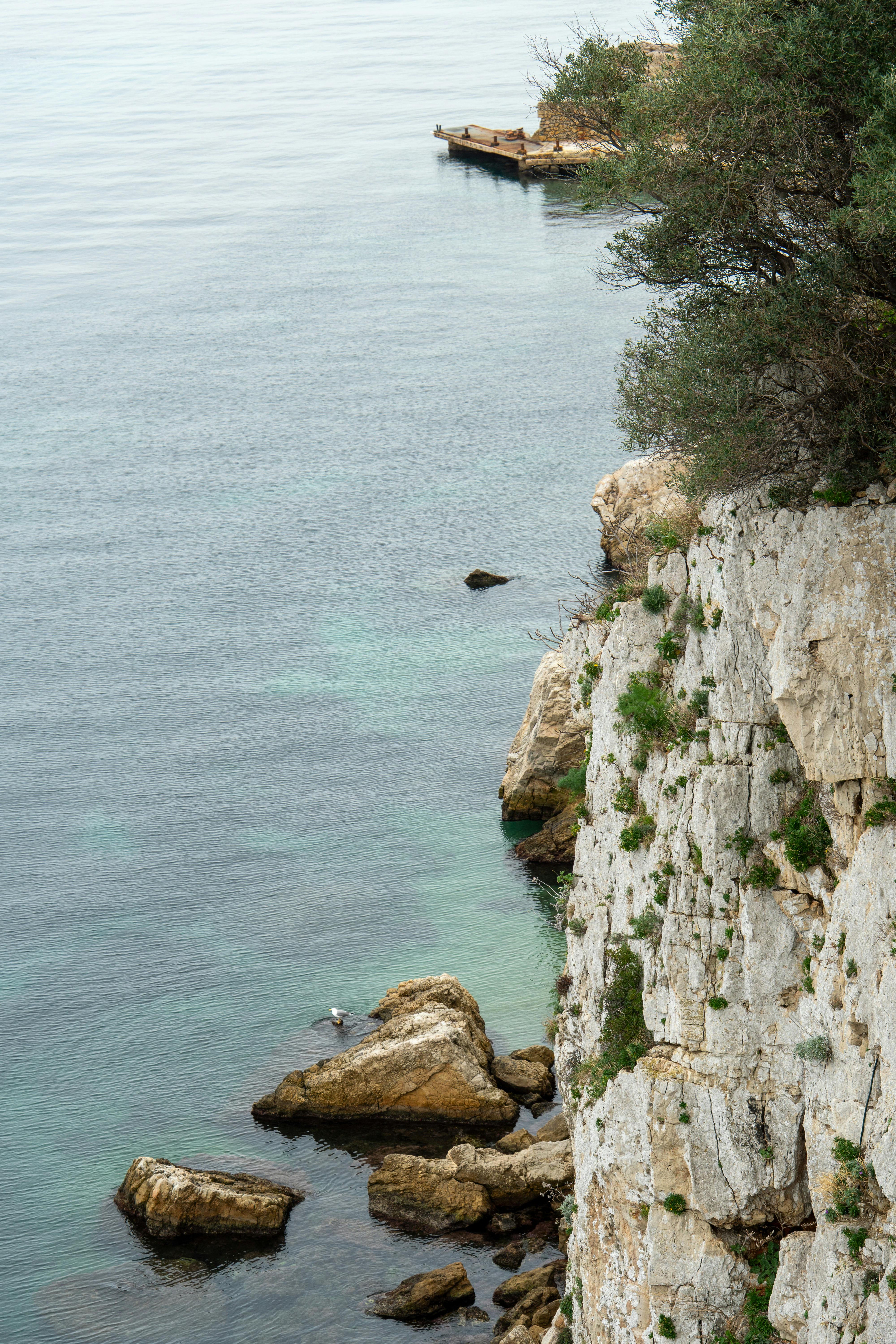 бесплатная Потрясающее скалистое побережье в регионе Прованс-Альпы-Лазурный берег, Франция, с кристально чистой водой. Стоковое фото