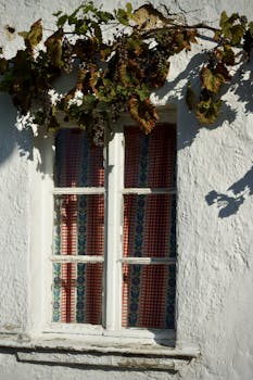 A rustic window framed with grape vines casting shadows, creating a cozy and quaint atmosphere.
