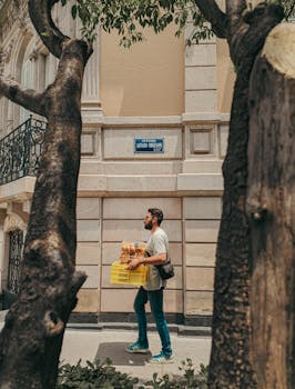Sidewalk scene of a man carrying a crate, framed by trees, in Ciudad de México.