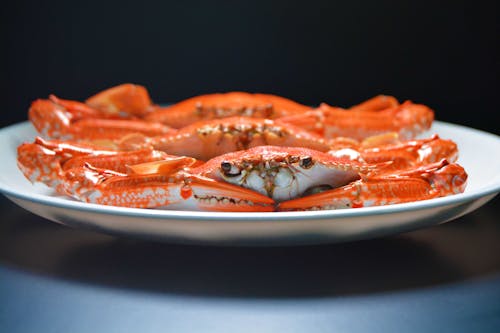 Photo of Crab on White Ceramic Plate