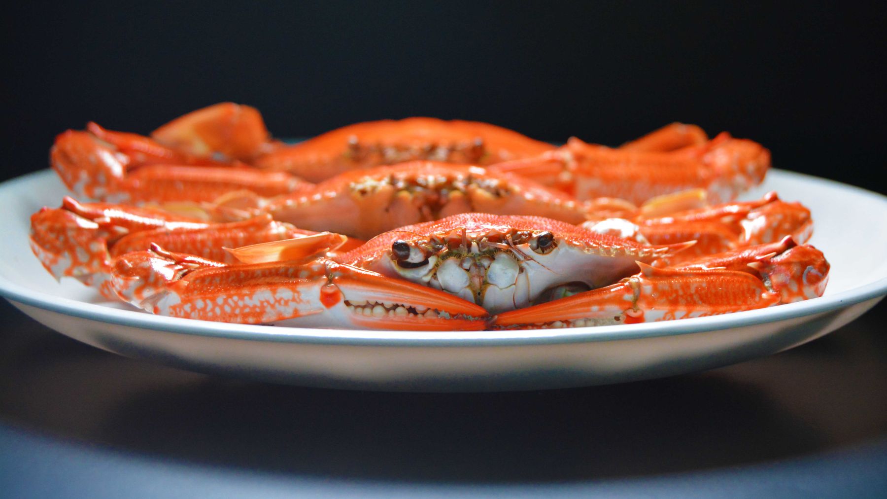 Mouth-watering steamed crabs beautifully plated, emphasizing their bright color and exquisite taste.