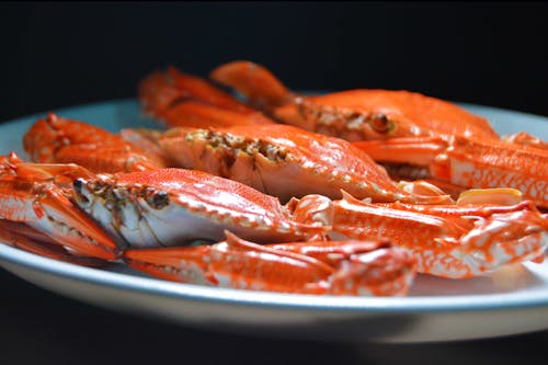 Gratuit Photo D'un Crabe Sur Une Assiette En Céramique Blanche Photos