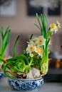 Elegant Daffodils in Ornate Blue Porcelain Pot
