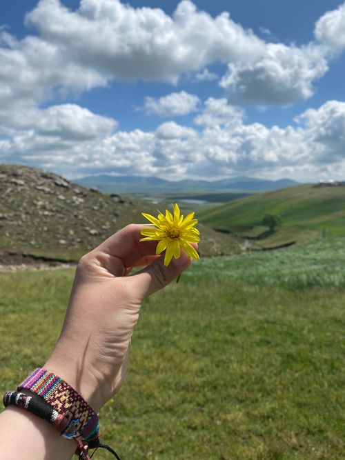 Free A hand holding a bright yellow flower against a picturesque hilly landscape and blue sky. Stock Photo