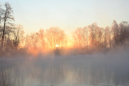 A beautiful sunrise over a misty lake with bare trees, creating a serene winter scene.