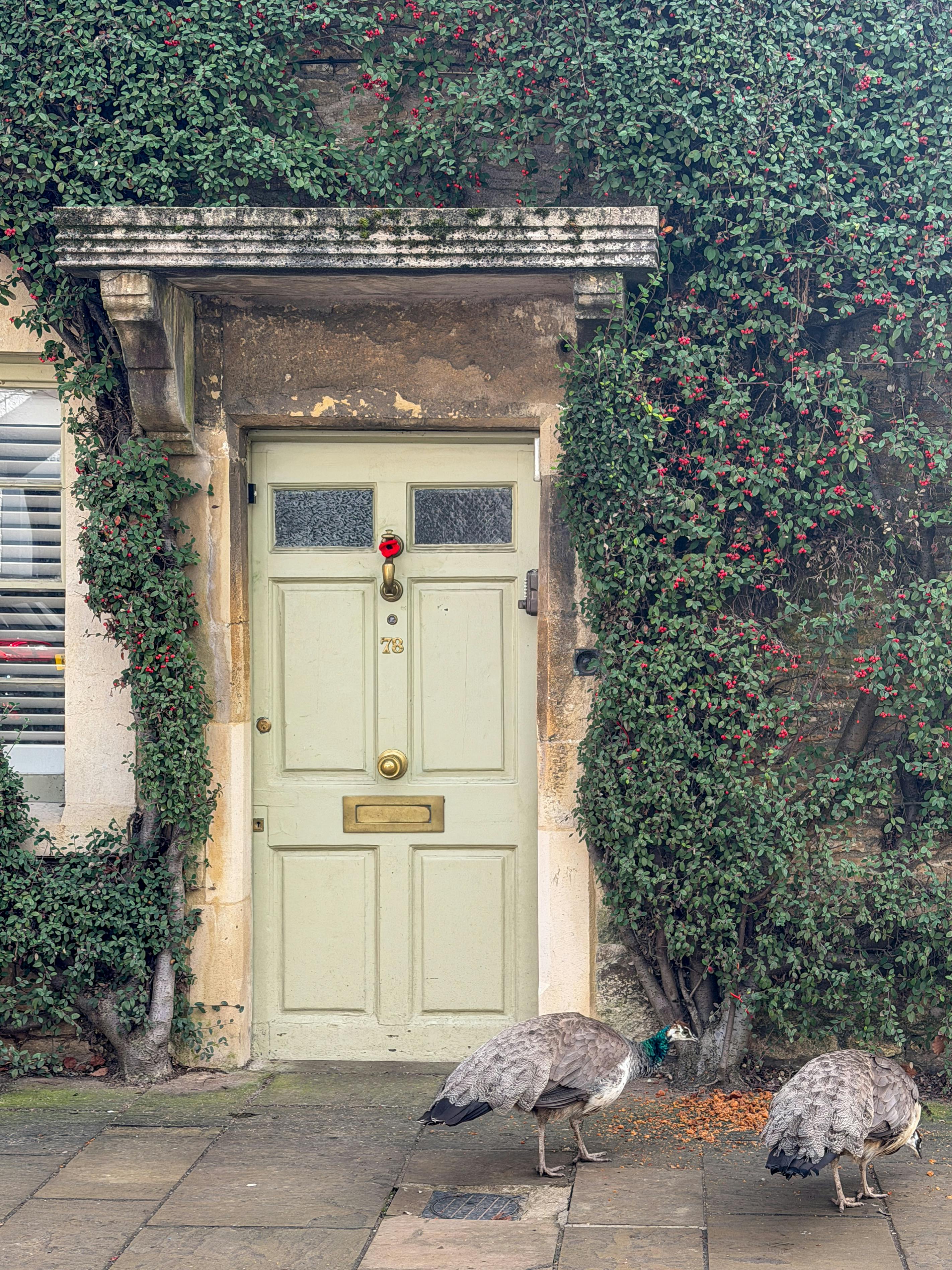 無料 英国コルシャムにある、ツタと2羽の孔雀で飾られた優雅な玄関。建築の魅力と自然を完璧に捉えた作品です。 写真素材