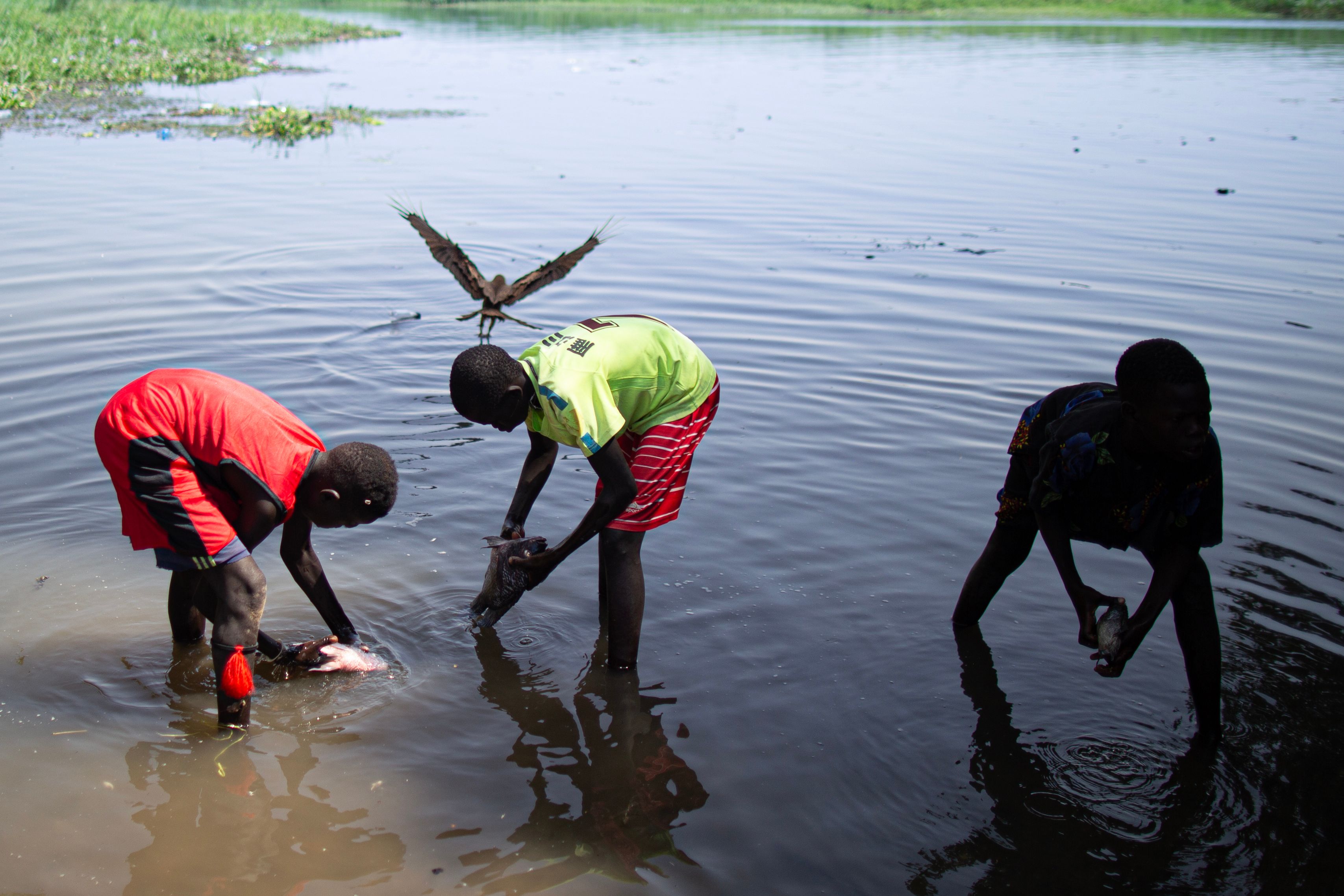 Children Fishing in Lake During Daytime · Free Stock Photo