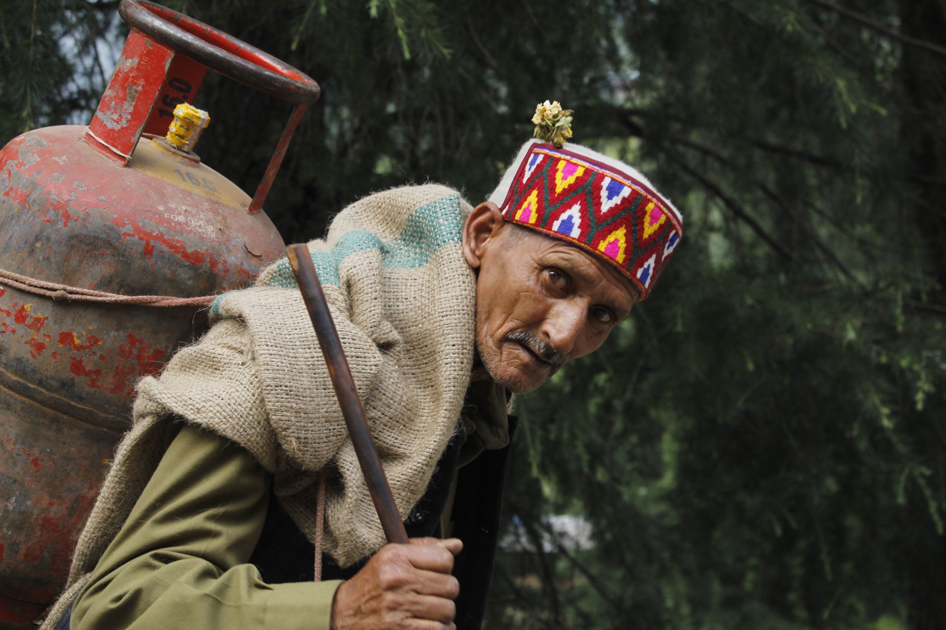 War, Gas, and the Kitchen Economy: How India is Navigating the LPG Shock