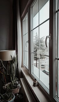 A serene indoor setting with plants by a window, overlooking a snowy outdoor scene.
