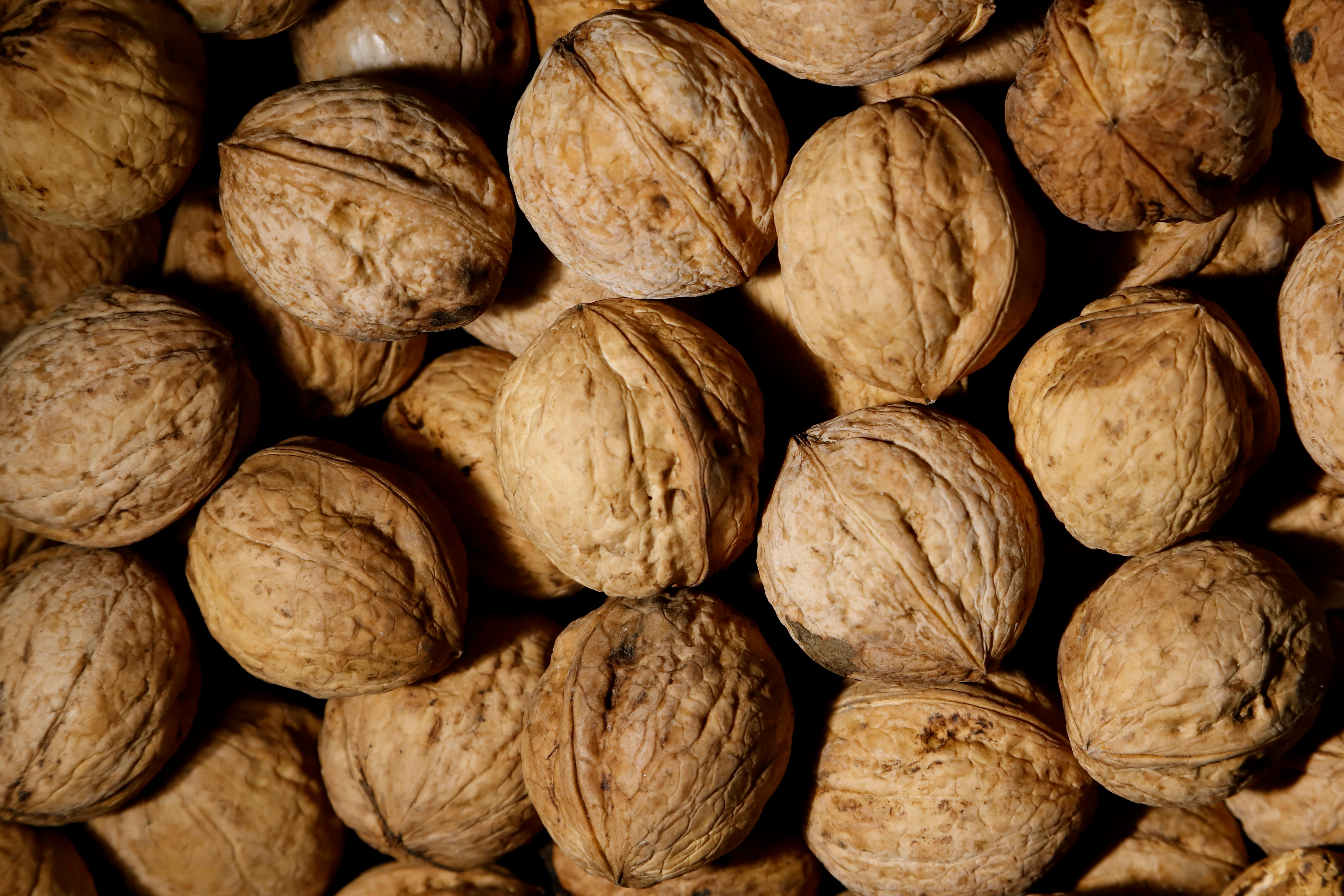 Walnut Pictures  Download Free Images on Unsplash