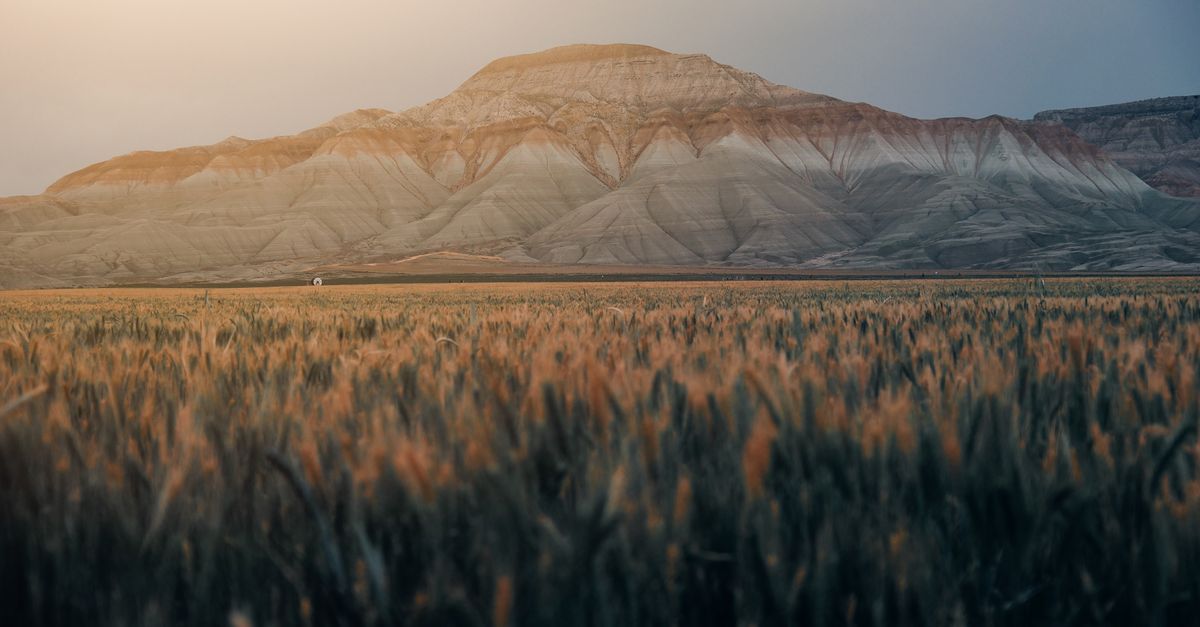 Serene landscape featuring a majestic mountain and expansive field under a dusky sky.