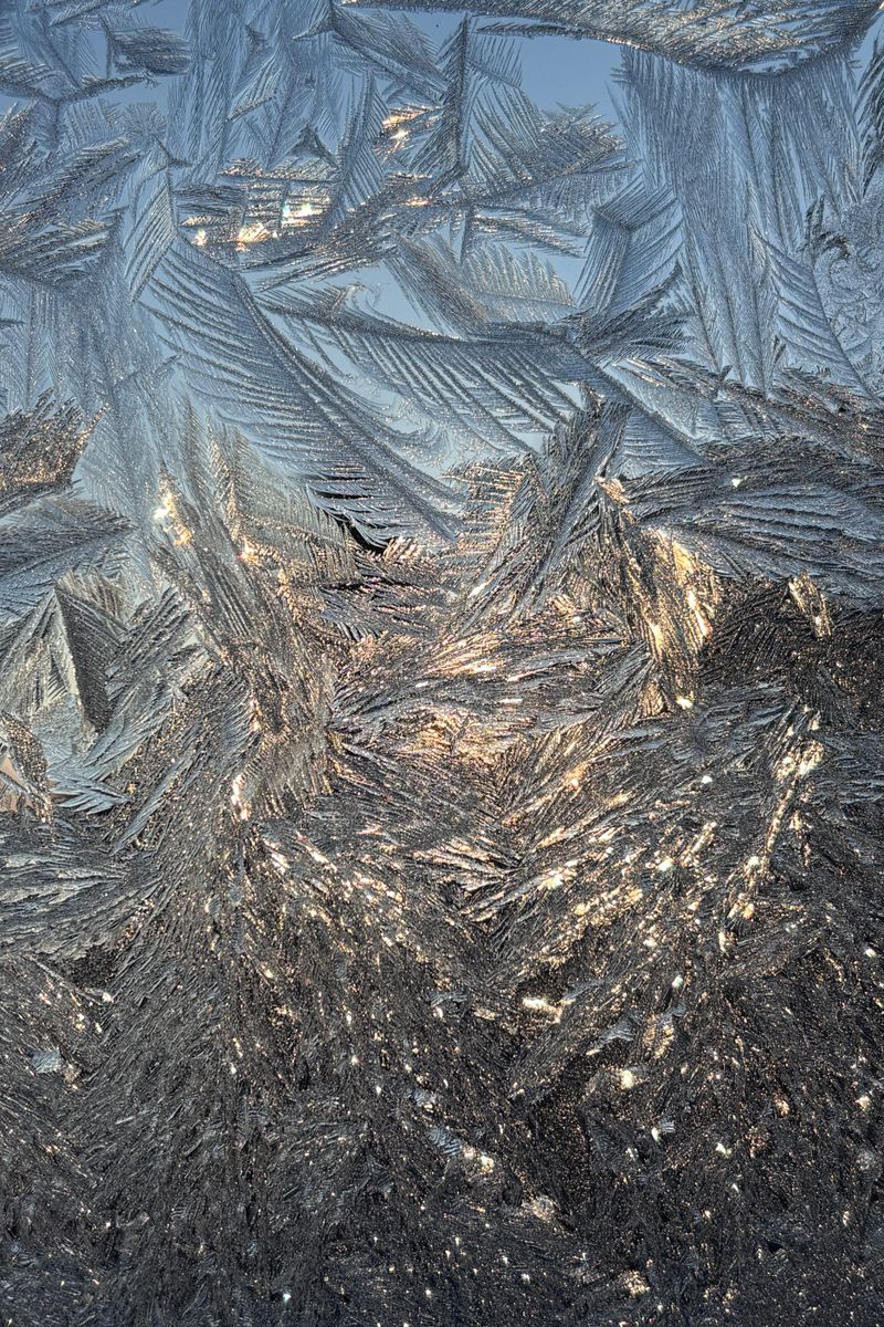 Detailed close-up of beautiful frost patterns on a window, illuminated by sunlight in Québec, Canada.