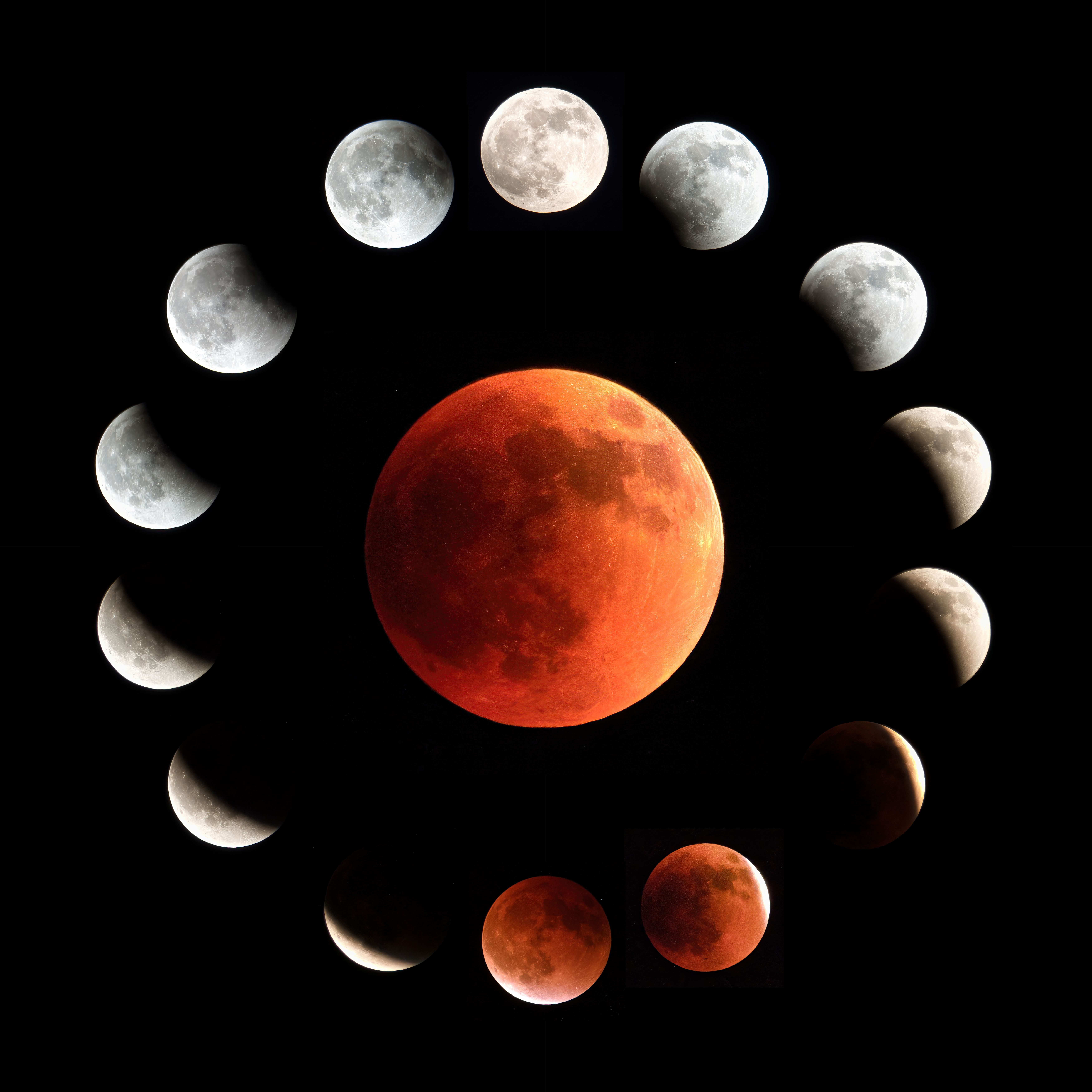 Vivid image sequence capturing a complete lunar eclipse with clear moon phases.