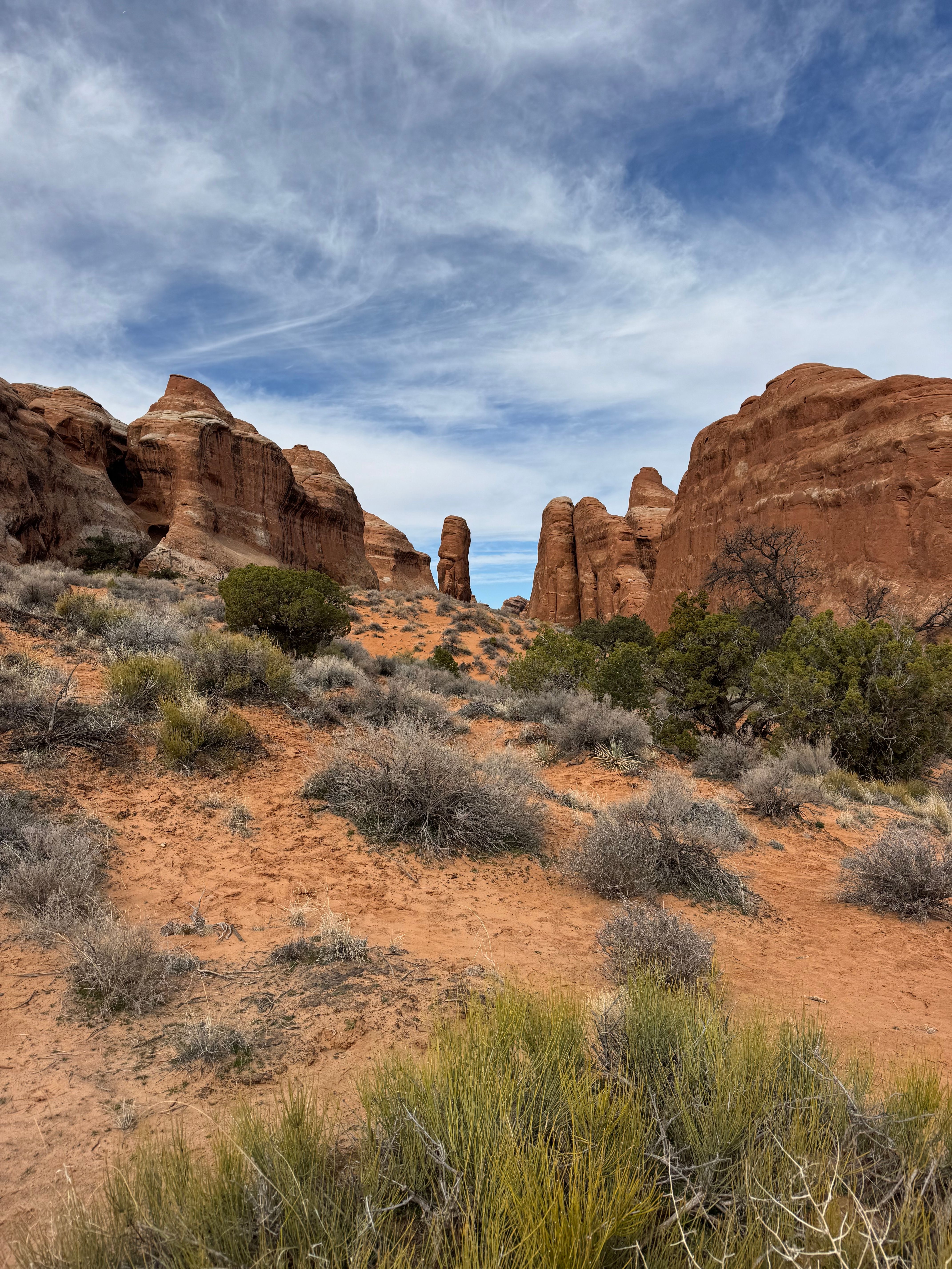 Sunrise light on Delicate Arch and red rock fins in Arches National Park
