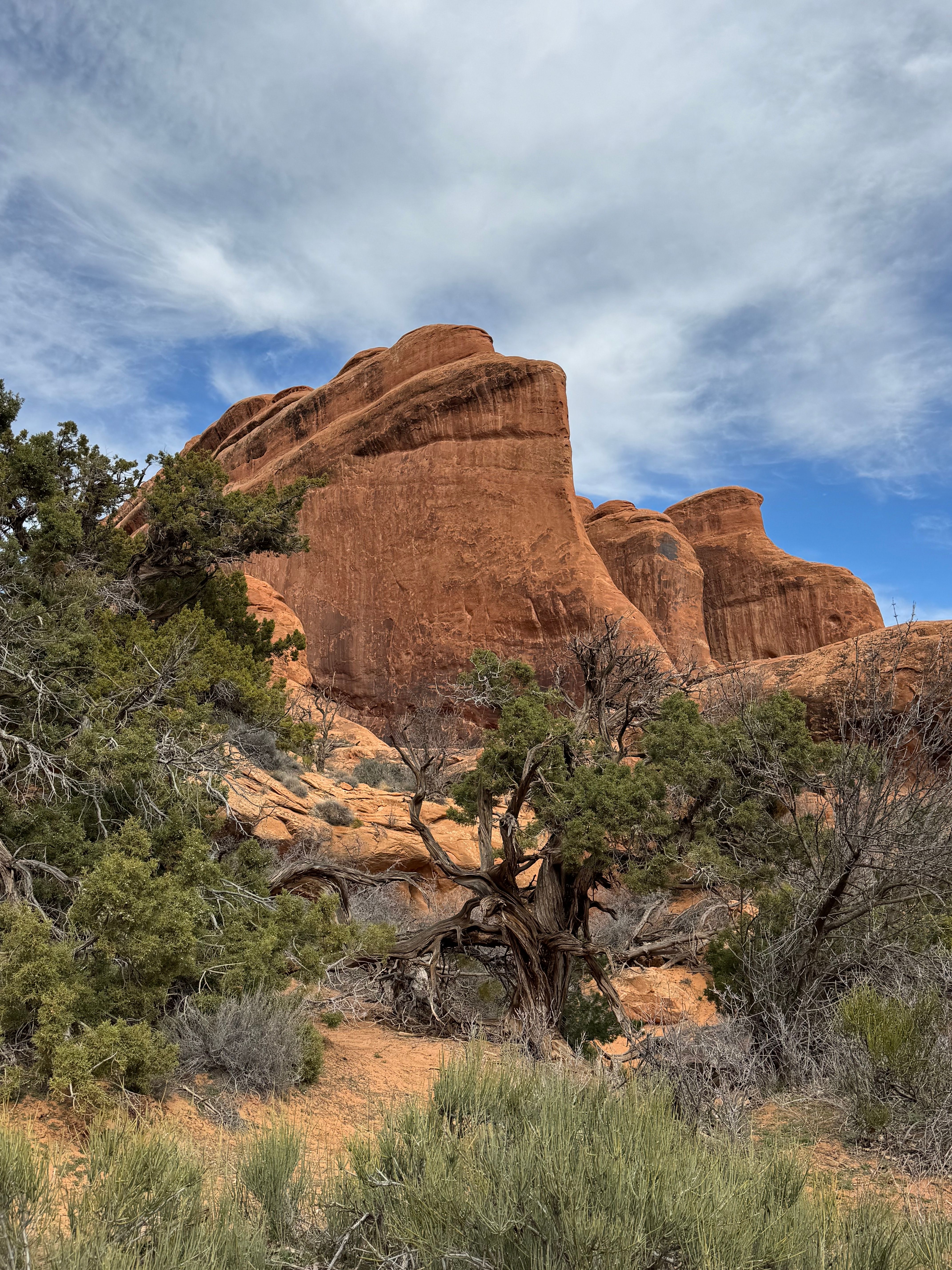 Adelaide round trip - The  Adventure Loop — national park landscape
