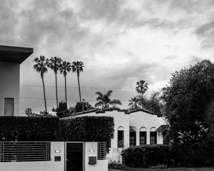 A moody black and white photo of urban architecture with palm trees and cloudy skies.