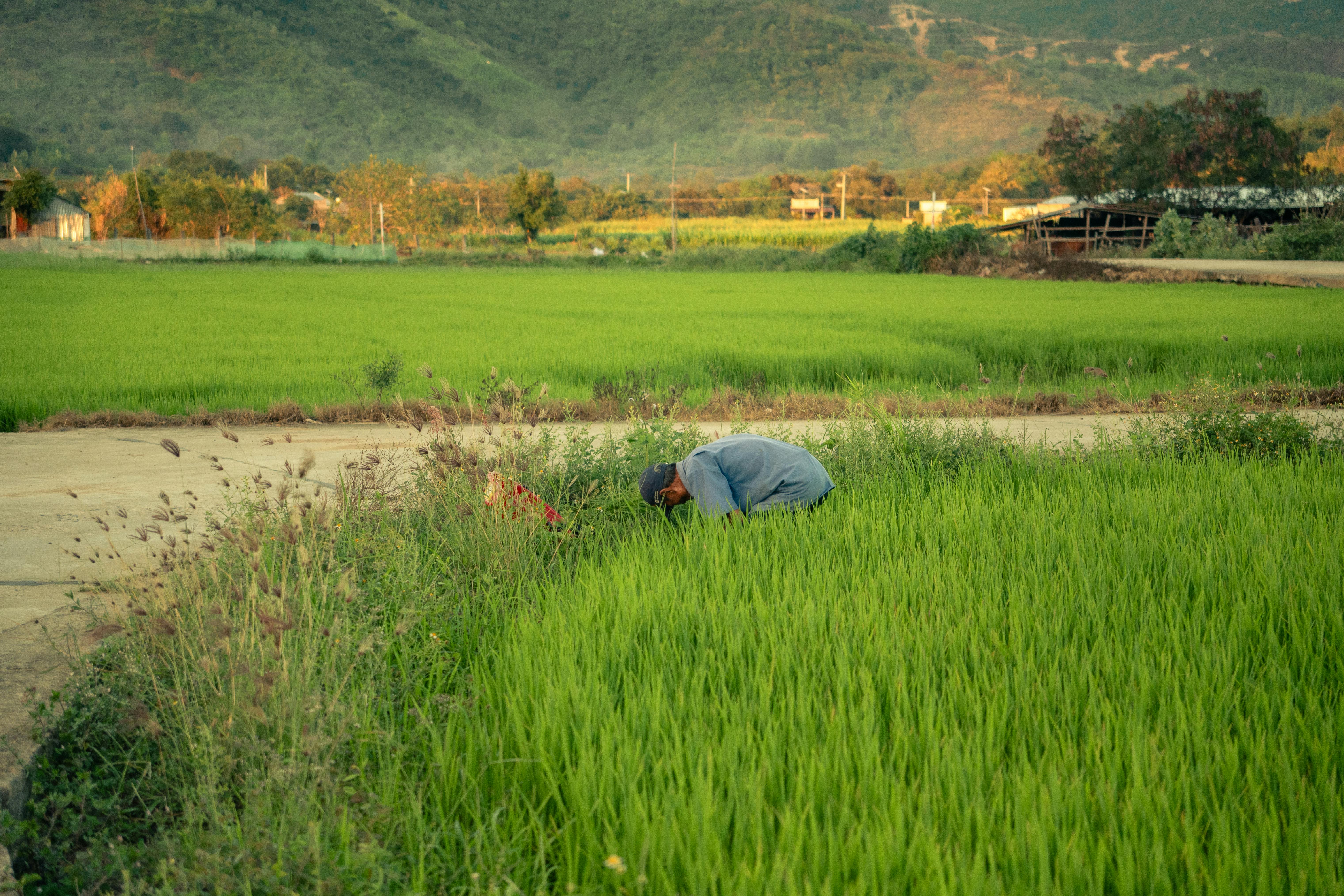 BUSINESS REFLECTION: After the Bell: Is this the moment to drill, baby, drill?