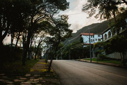 Free Scenic quiet street lined with trees and houses against a mountainous backdrop at sunset. Stock Photo