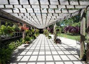 Sunlit Wooden Pergola with Lush Greenery