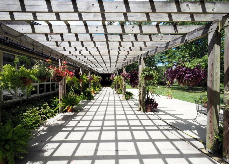 A sunlit wooden pergola adorned with vibrant plants and ferns, casting intricate shadows on the walkway.