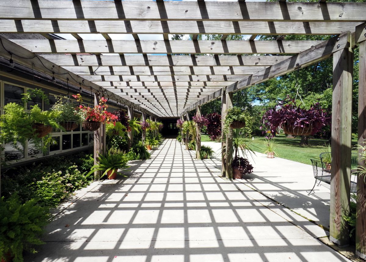 Suportes de chão com plantas