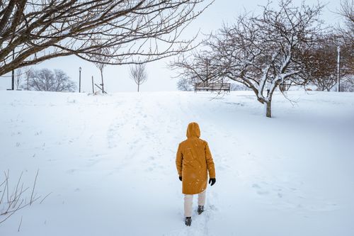 Free A person in a winter coat walks through a snow-covered park in New York City during winter. Stock Photo
