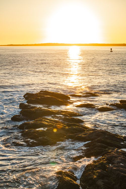Free Serene view of a golden sunset reflecting off ocean waves and rocky shoreline. Stock Photo