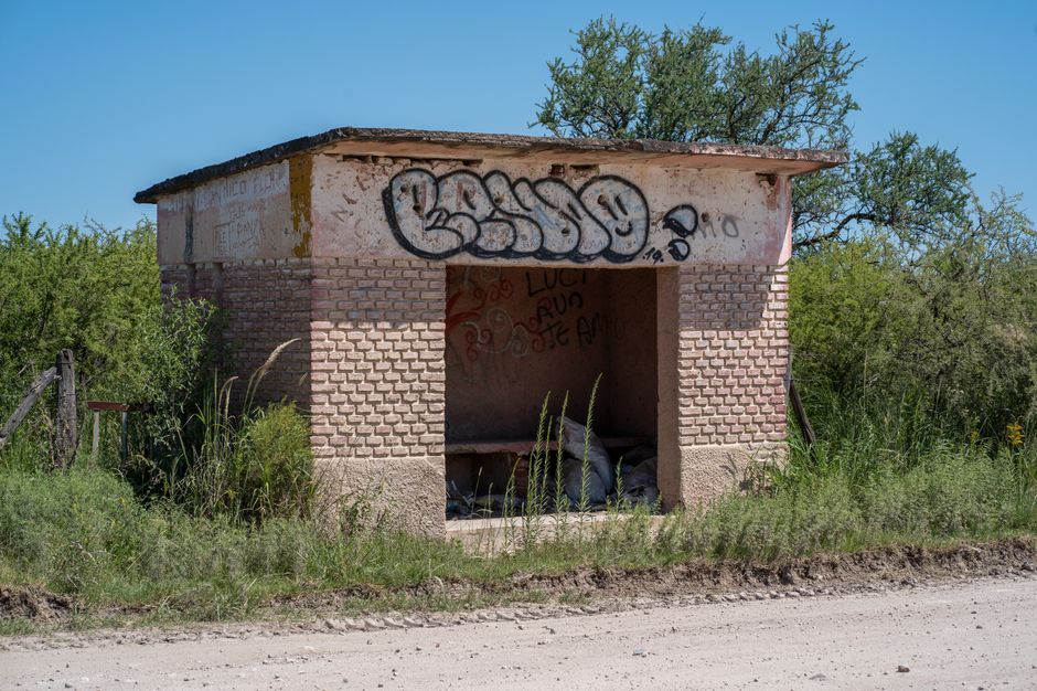 Fotomural Parada de autobús rural con grafiti rodeada de vegetación exuberante en Córdoba, Argentina.