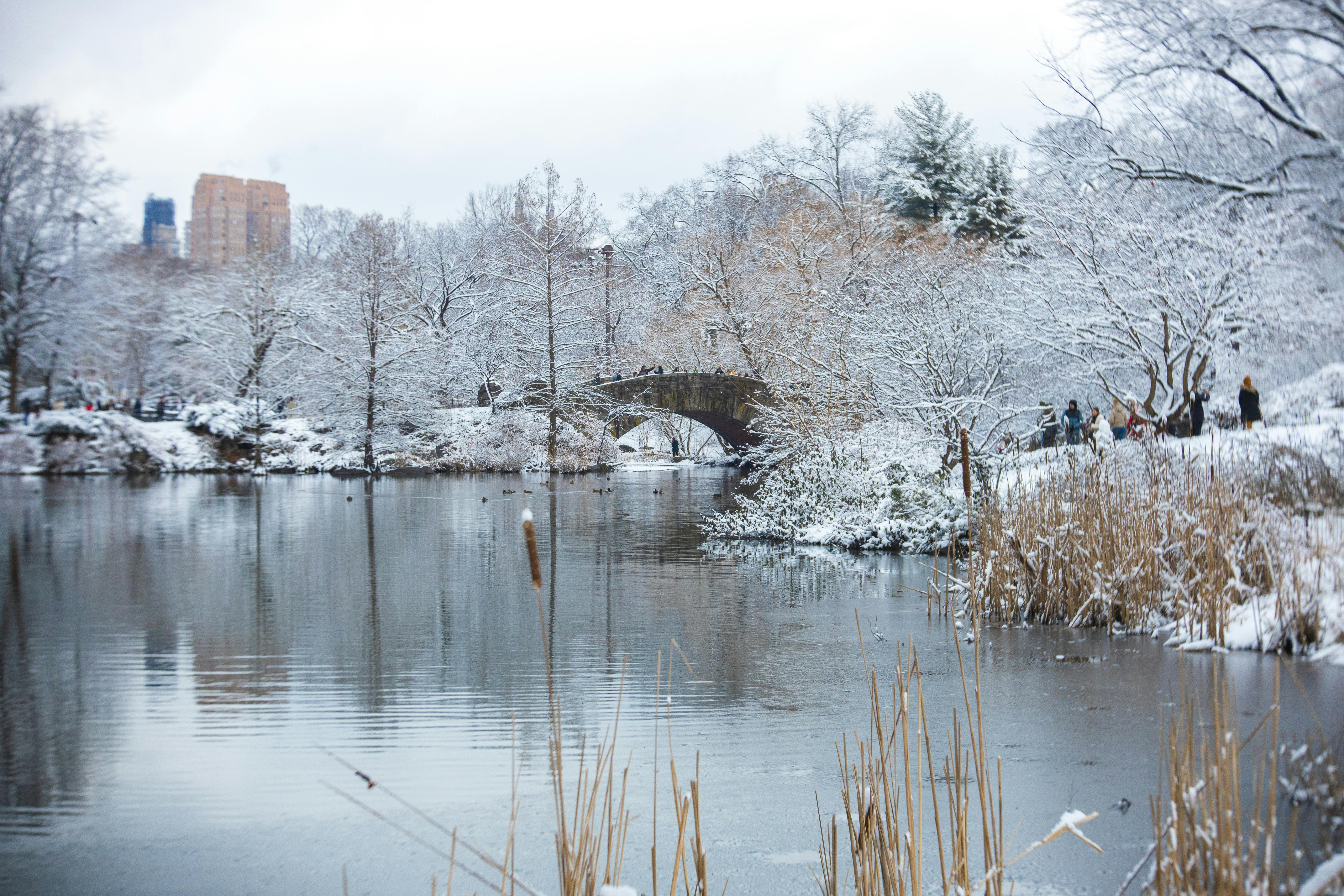 бесплатная Живописный зимний вид на Центральный парк, покрытый снегом, с видом на знаменитый мост Гапстоу. Стоковое фото