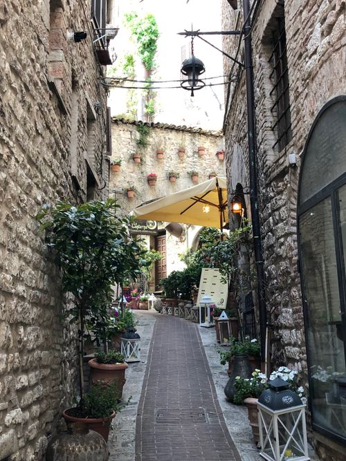 Free Explore a quaint stone alleyway in Assisi, Italy, full of rustic charm and blooming plants. Stock Photo