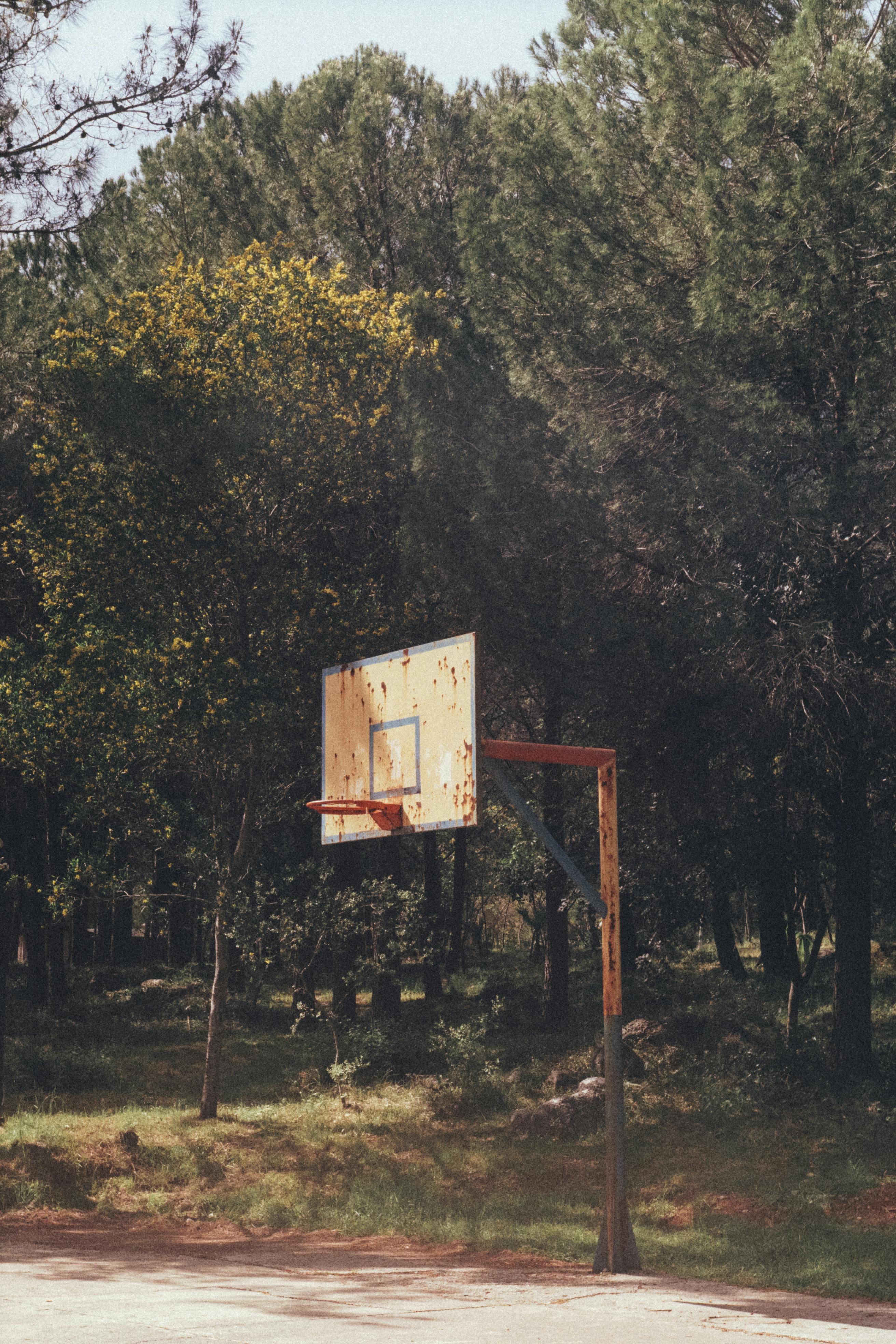 Free A vintage basketball hoop found in a forest setting in Akyaka, Muğla, Türkiye. Stock Photo