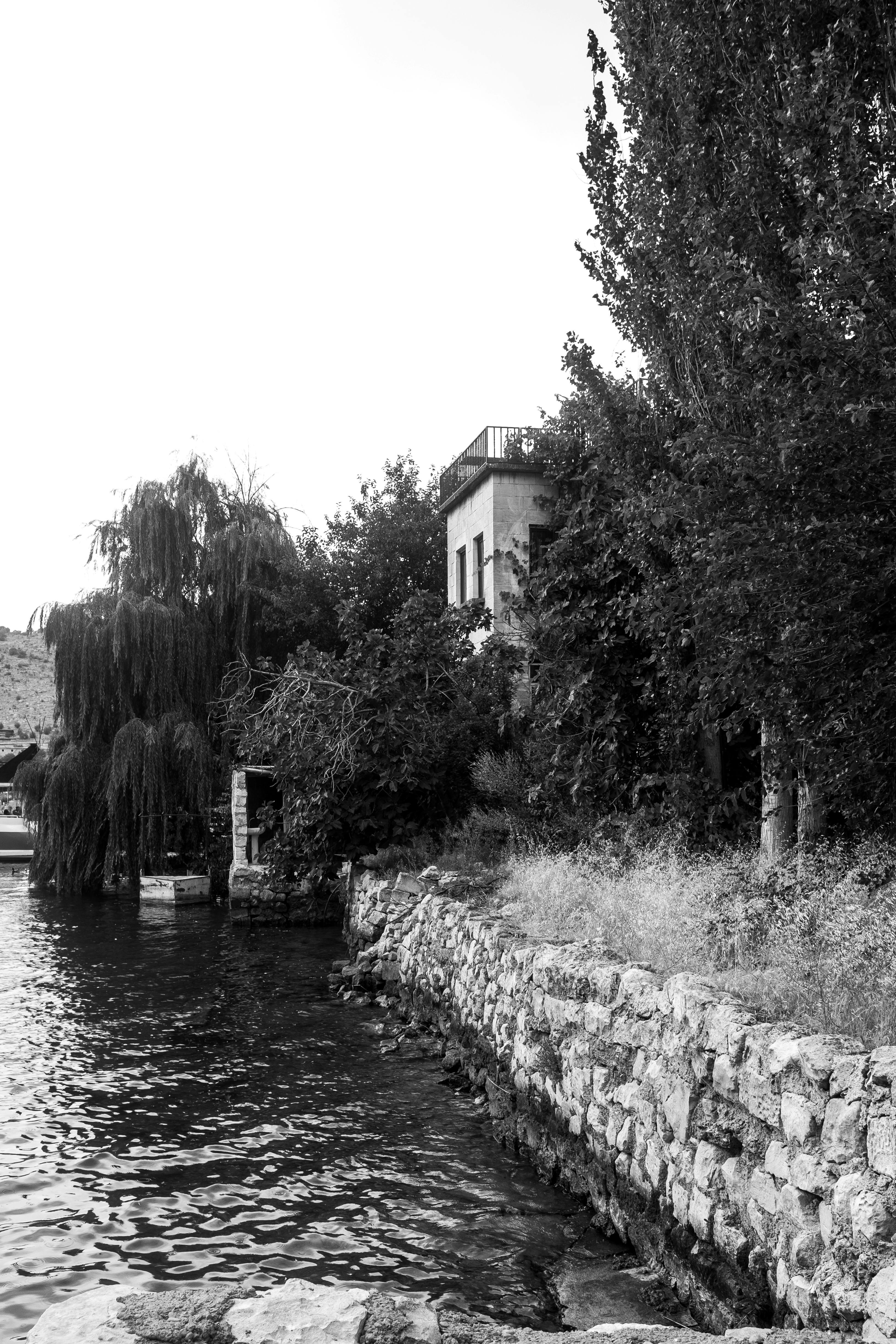 Free A tranquil black and white photo of a house by a riverside surrounded by lush trees. Stock Photo