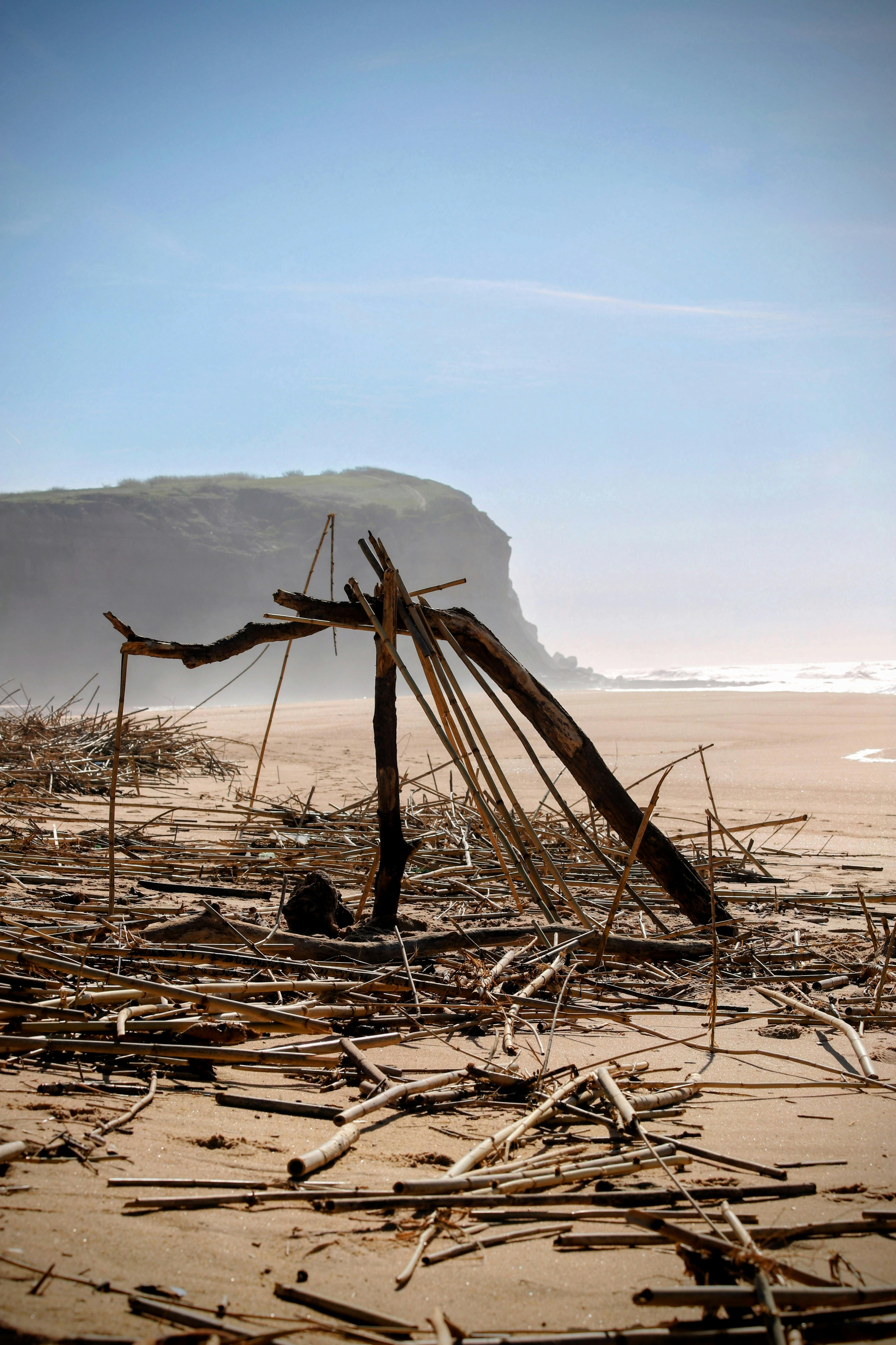бесплатная Художественная конструкция из коряг на обширном песчаном пляже с отвесными скалами на заднем плане. Стоковое фото